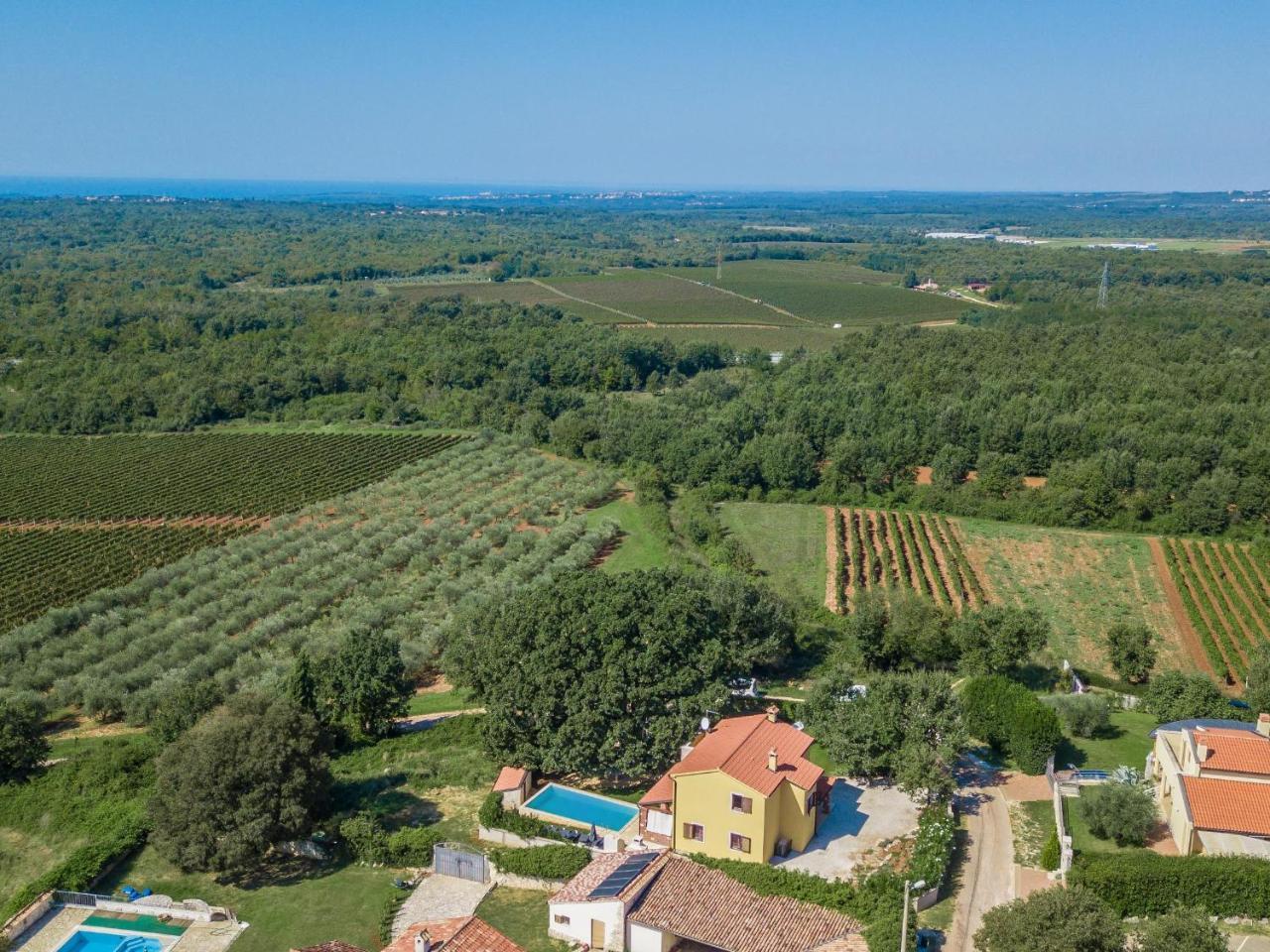 Villa Hrast Bacva Višnjan Kültér fotó